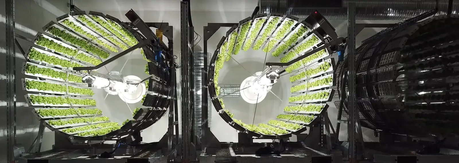 Futura Gaia vertical farming production site running Odoo